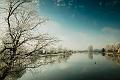 2016_12_29 (0021)
